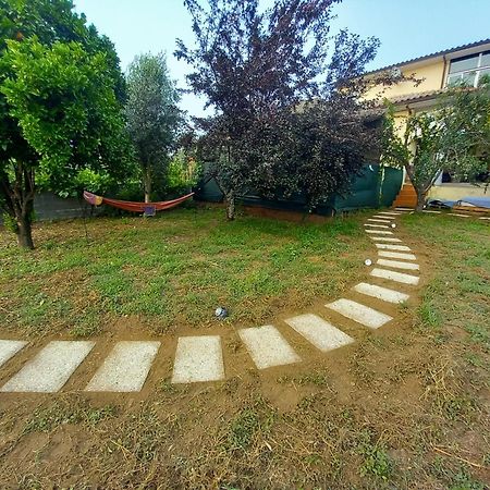Cantinho Da Aldeia Vila Facaia Kültér fotó